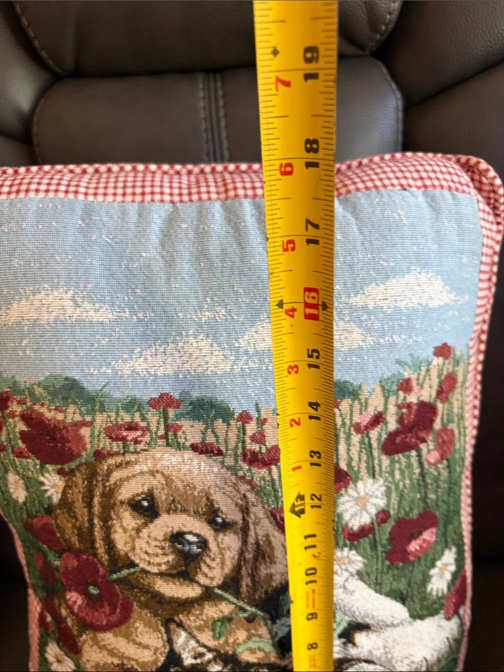 Pillow with Dog & Cat